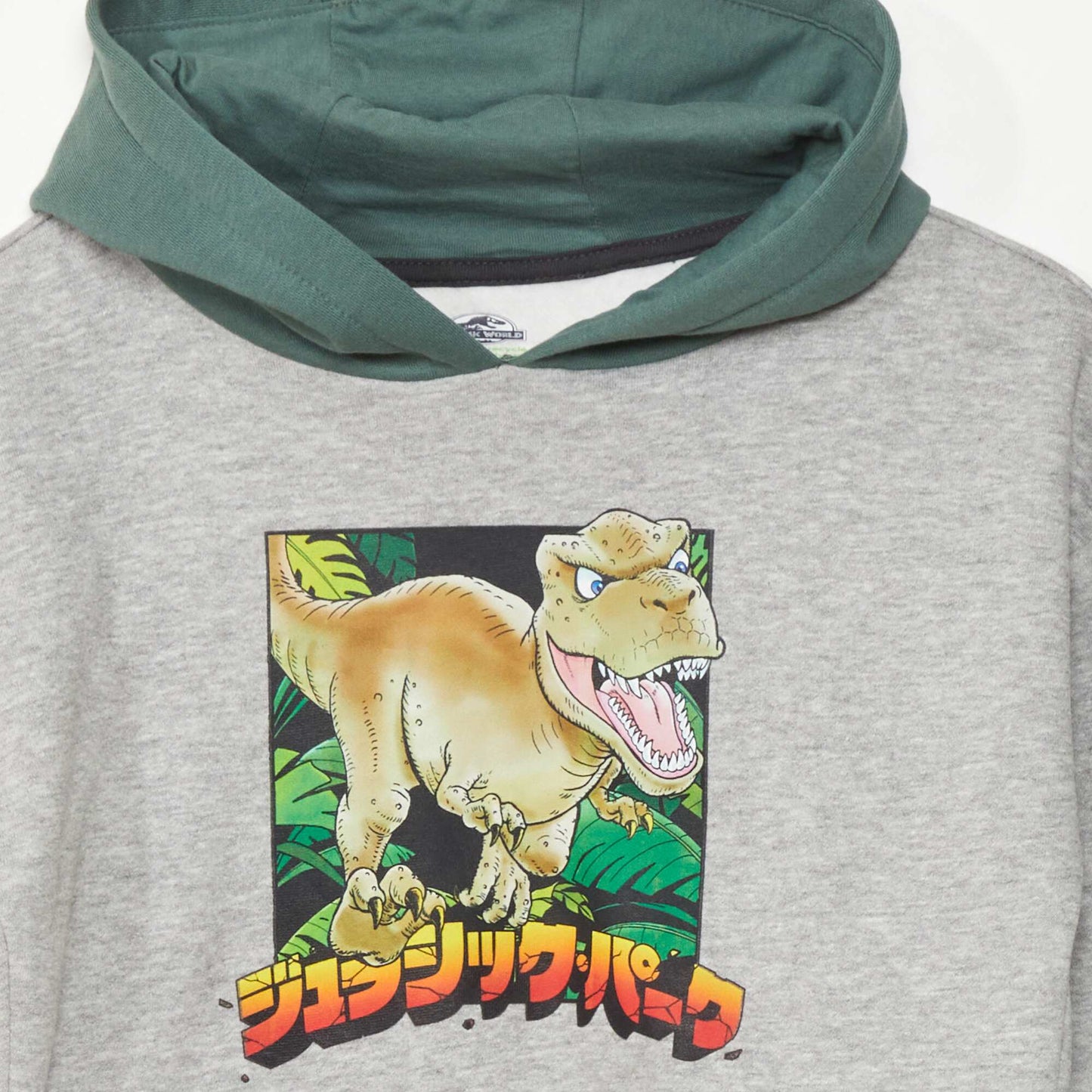 Sweat à capuche 'Jurassic Park' Gris