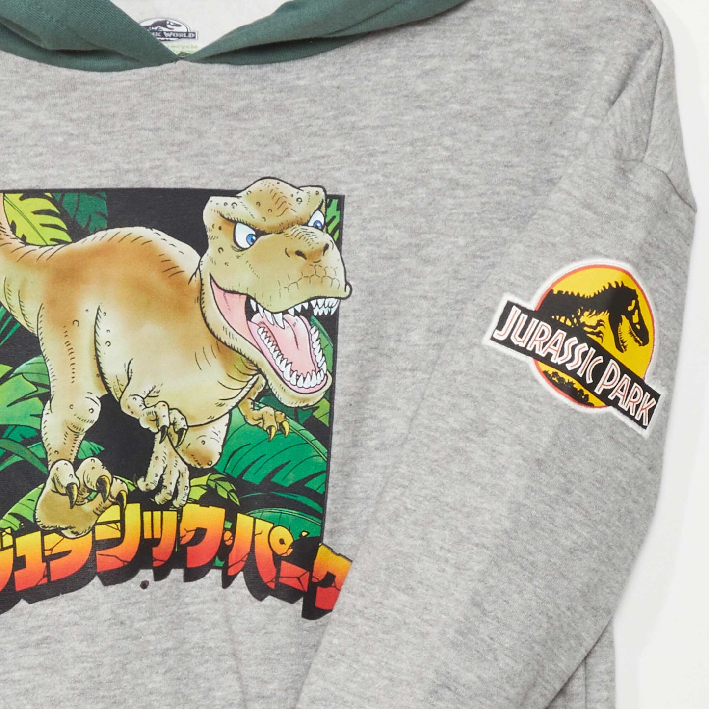 Sweat à capuche 'Jurassic Park' Gris